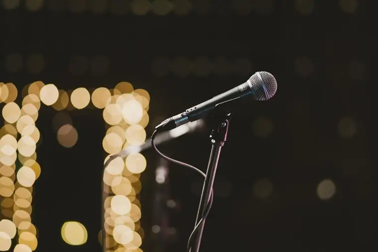 A microphone on a stand, warm string lights glowing behind it: crowd work